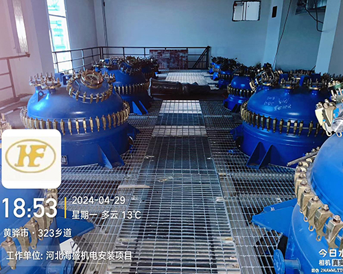 河北海盛藥業(yè)有限公司年產(chǎn)50t氨磺必利原料藥項目